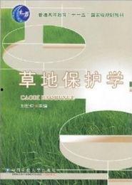 青草精品在线视频,畅享视觉盛宴，解锁生活新篇章